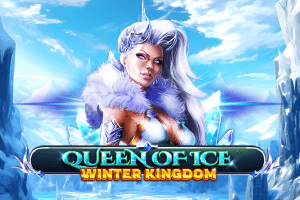 queen office winter kingdom